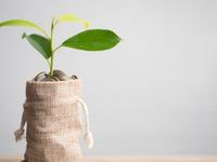 First Trust’s RDVY ETF a Stalwart for Dividend Growth