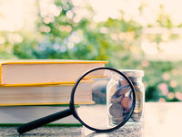 Returns over Fees: Active Management Opportunities