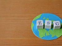 ESG Bond Credentials Are Going Under the Microscope