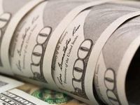The Model Portfolio for Dealing with Fiscal Deficits