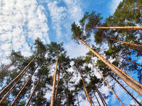China’s Ambitious Green Goal: Carbon Neutral by 2060