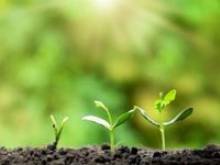 How Companies Are Meeting Expectations on Climate Change