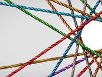 Diversity Improves Corporate Strength