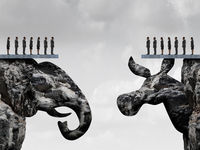 Volatility Management for Divided Government