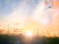 A New Dawn for Actively Managed Value Rotation?