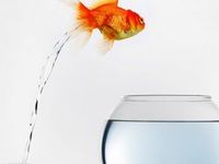 Upcoming Changes for ESG and Sustainable Funds ETFs
