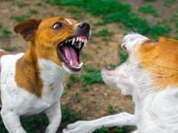 EDOG ETF Getting More Bite to Its Bark