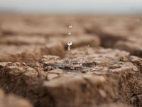 A Framework for Analyzing Municipal Climate Risk