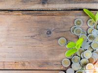 Millennials Driving ESG Funds Like the EMSG ETF