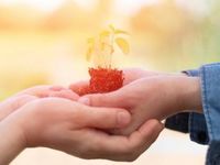 ETFs with Heart...and Returns: ESG Investing into 2021