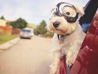 After a Scorching November, the Dog Days for Energy ETFs Are Fin