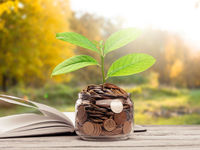 The ESG Movement Is Resonating with Investors