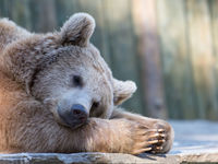 Energy ETFs Are Awakening from Their Long Slumber