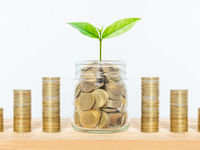 The Many Shades of ESG Integration