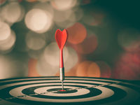Finding Opportunities After the Rebound