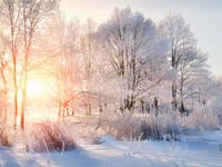 Try Model Portfolios for a Small-Cap 'January Effect'