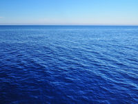 In an Endless Sea of ETFs, MOAT Casts a Wide Net