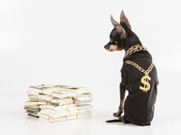 The ALPS SDOG ETF: Dogs of the Dow Are Back