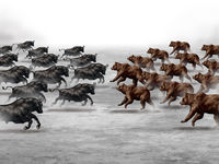 When Volatility Threatens, Turn to the VSMV ETF
