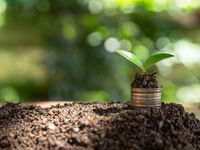 Get Domestic ESG Exposure in 2021 with the USSG ETF