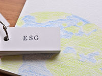 Access ESG's Staying Power With EFIV