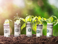 Catalysts Set for ESG ETF Adoption in 2020