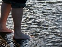 Wade Into International Equities with FlexShares’ QLVD ETF