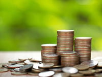 Can't Get Enough ESG? 2 ETFs for 2021
