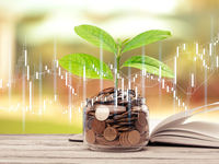 Get Broad ESG Exposure in the S&P 500 With This ETF