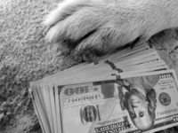 Dividend Dogs Are Back and 'EDOG' Is Cashing In