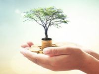 Model Portfolios Offer Endowment Investing for All