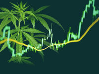 'MSOS' Prospects: Active Cannabis ETFs on a Torrid Pace