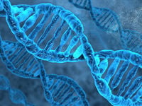 ARKG: The Latest and Greatest Genomics Innovations
