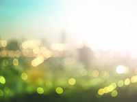 The Message Is Clear: Green ETFs Have Never Been Hotter