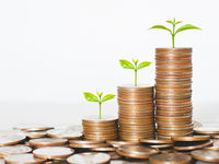 How 2020 Revealed the Staying Power of ESG Funds