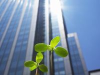 How Can Companies Build Successful ESG Programs?
