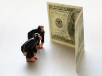 Business Development ETFs Aren't Monkeying Around