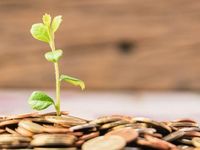 2 FlexShares ETFs on the Front Lines of the ESG Movement