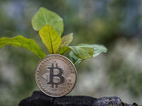 Can ESG Investing Co-Exist with Bitcoin?