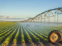 'HAP' Keeping Raw Materials Investors Happy
