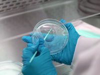 Biotech Rose as Covid Spread. Now It's Falling Behind
