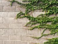 Is the ESG Takeover Inevitable? State Street's EFIV ETF