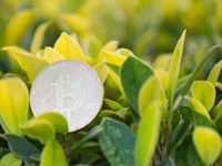 Is a Bitcoin versus ESG Battle Brewing?
