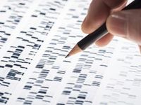 How ARKG's Genomics Will Personalize Cancer Treatment