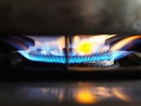 How the Pandemic Lit a Fire under ESG