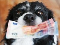 The Dogs of the Dow: Staying Cyclical with 'SDOG'
