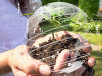 Supporting Sustainability Through Carbon ETF Strategy
