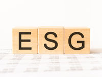 The Full Equation: Don't Forget the "S" and "G" in ESG