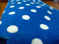 Crypto Firm Osprey Announces a Polkadot Product
