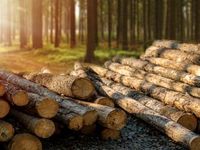 CUT to the Chase with This Lumber ETF